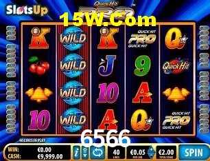 Flash Promotion 6566