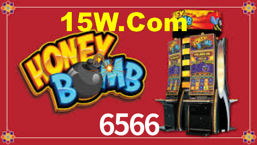 6566